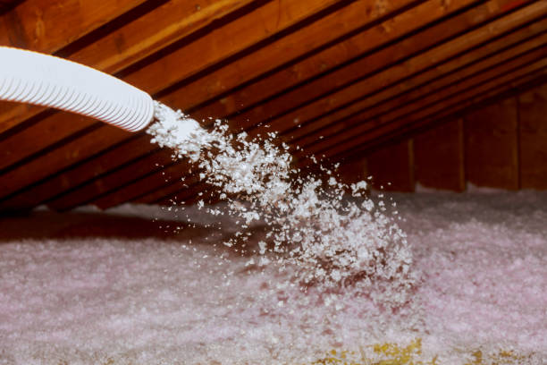 Best Commercial Insulation in Rancho Viejo, TX