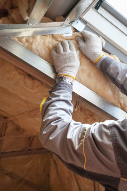 Trusted Rancho Viejo, TX Insulation Contractor Experts