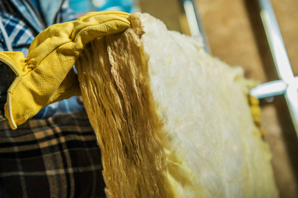 Types of Insulation We Offer in Rancho Viejo, TX