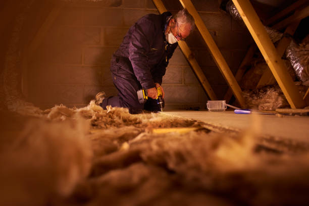 Best DIY Insulation Kits and Guidance in Rancho Viejo, TX